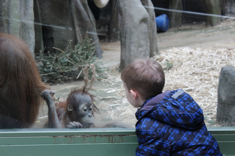 8 марта в ЗОО!