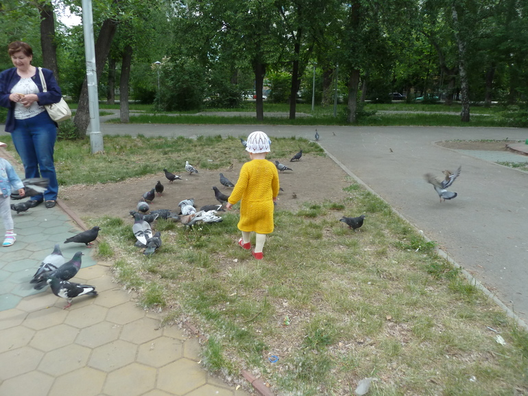 Желтые летние зарисовочки))