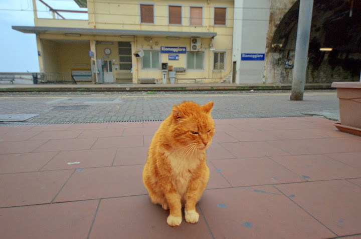 Контрольное задание № 28. "Меняем цвет объекта на фотографии с помощью кривых"