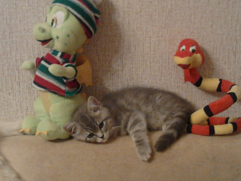 нам 9 месяцев