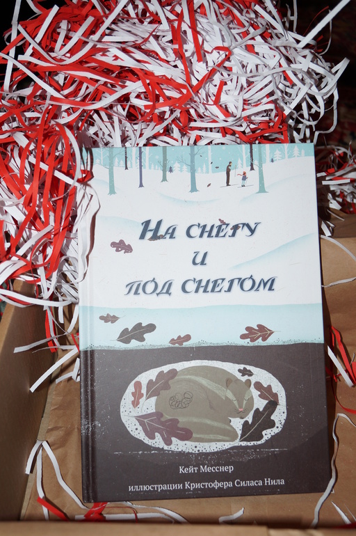 Январская коробочка AistBox