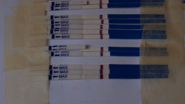 Эксперимент продолжается)))