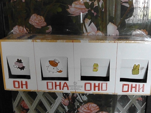 род и число