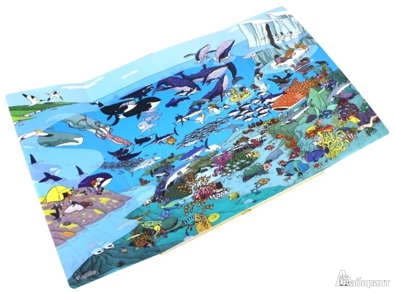 а теперь про Тёмку и его успехи