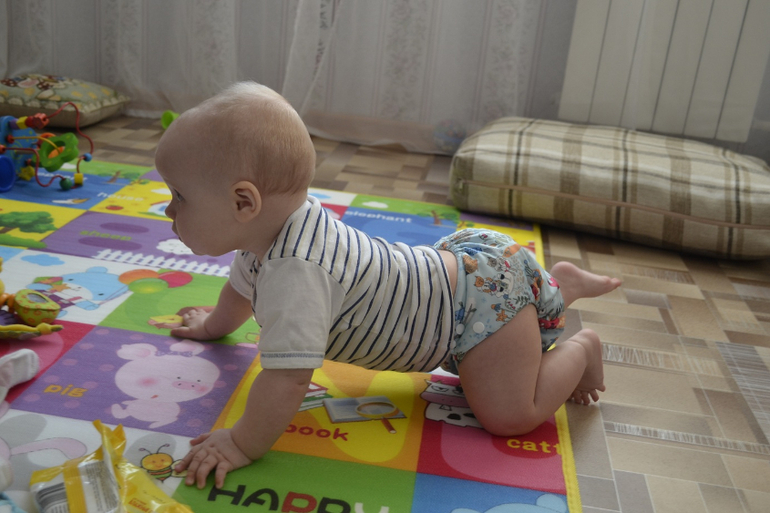 8 месяцев