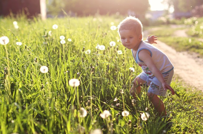 Съемка против солнца. Что вышло?