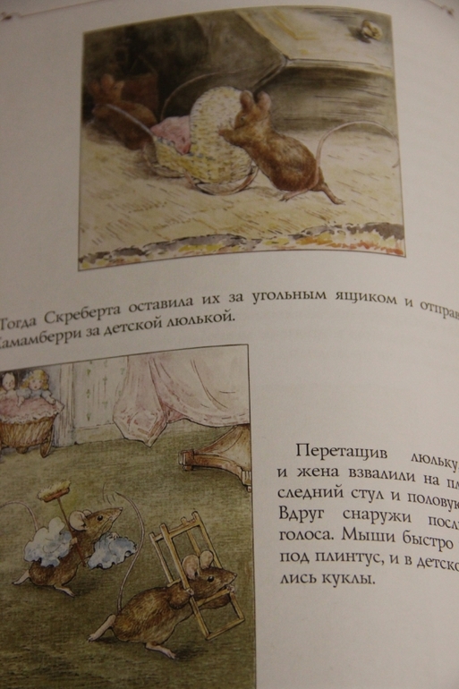 Наше пополнение