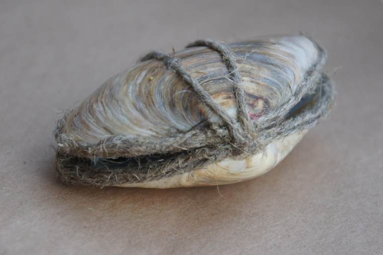 Быстрая упаковка!