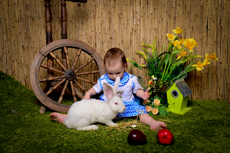 О нашем подарке к 23 февраля.