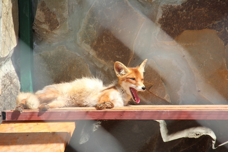 Экзотик парк. Поход с детьми строго ОБЯЗАТЕЛЕН!