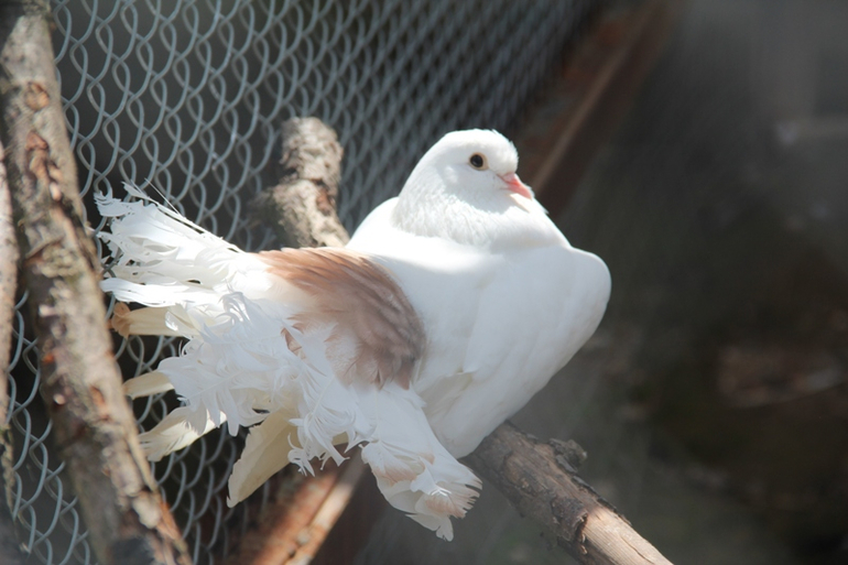 Экзотик парк. Поход с детьми строго ОБЯЗАТЕЛЕН!