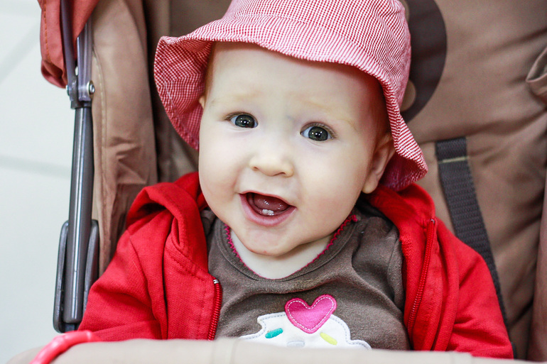 Приключения красной шапочки.