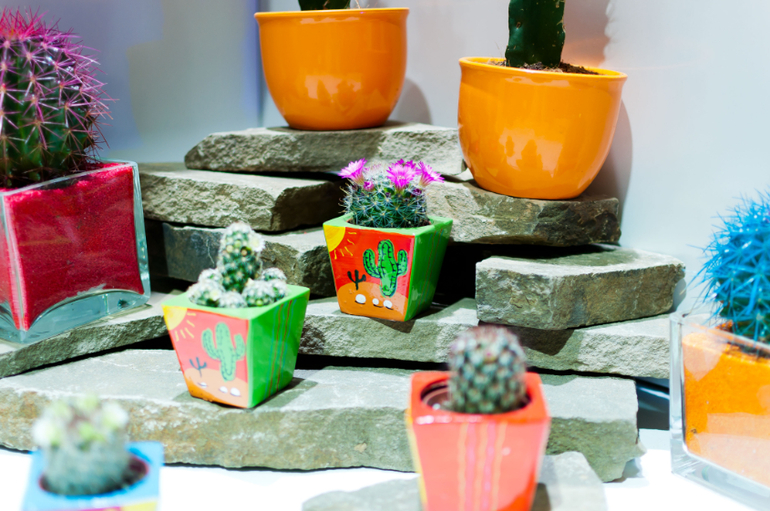 Фотовыставка в Крокусе