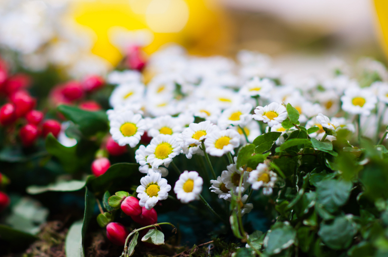 Фотовыставка в Крокусе