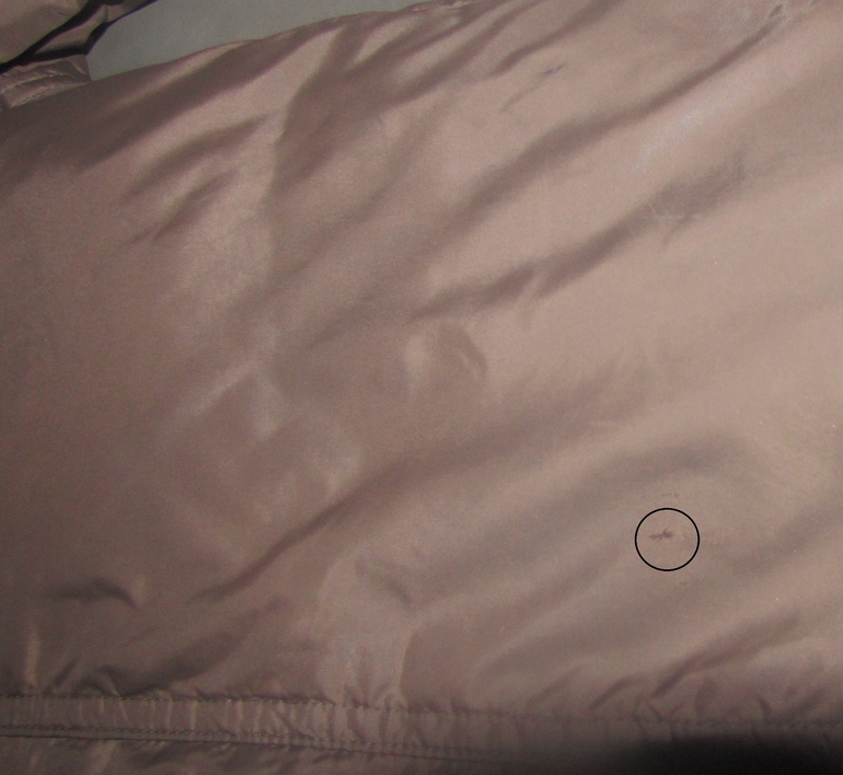 комплект Moncler шоколадный 5-6 лет 3000р.