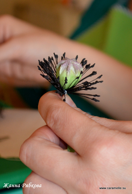 Курсы по сахарным цветам Жанны Рябковой