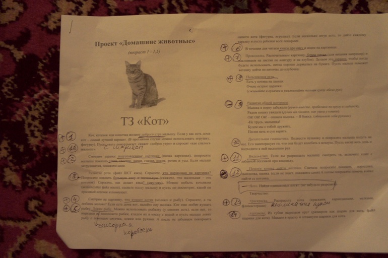 Отчет о втором дне ТЗ" Кот, Собака"