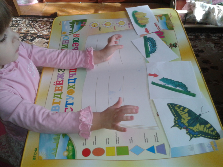 ТН Насекомые День 5