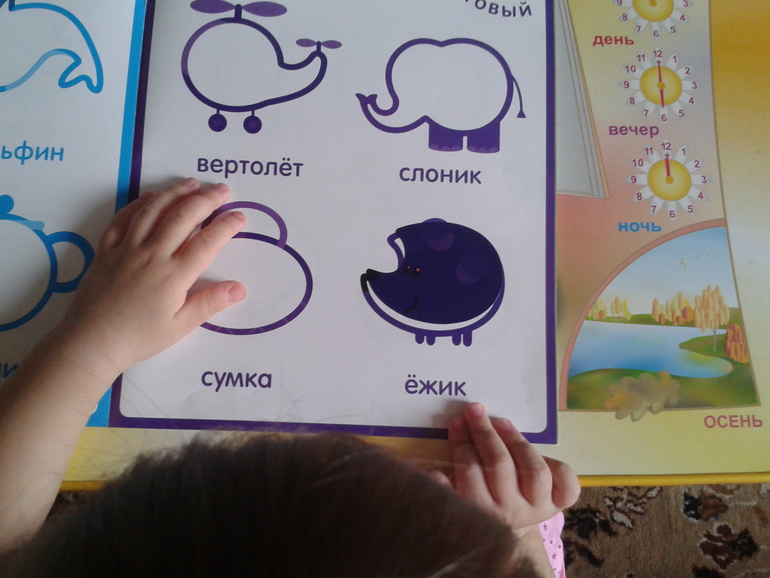 ТН Лесные животные Ёж