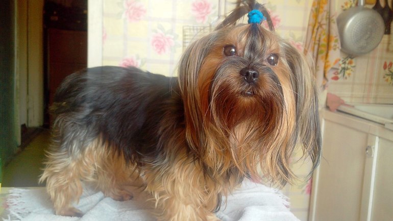 скоро переедет ко мне дамочка)))