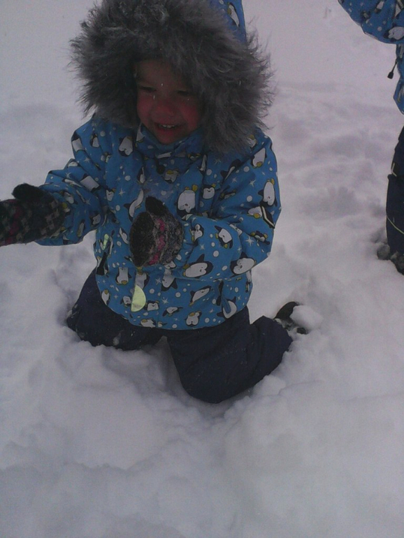 У нас новые санки!