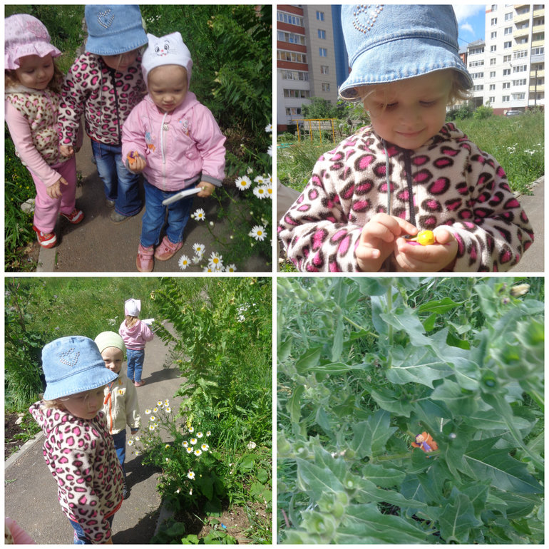 Сказочные феи