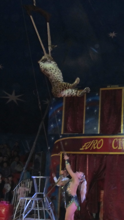 Мы ходили в цирк!!!