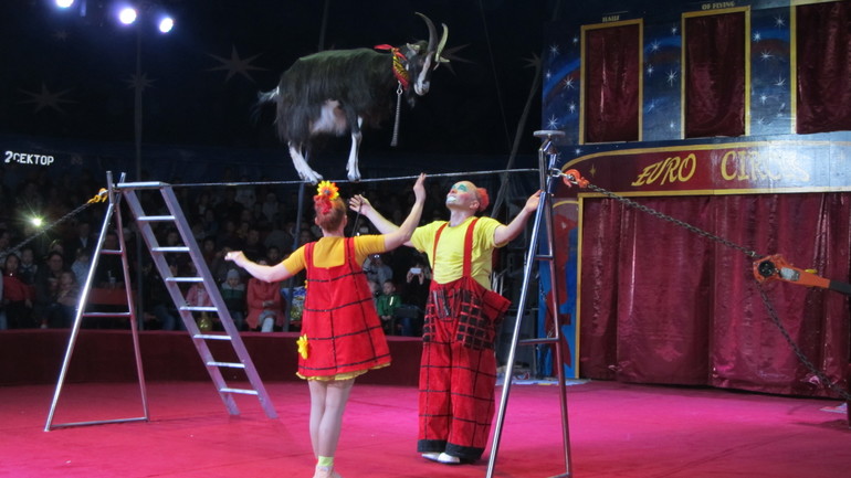 Мы ходили в цирк!!!