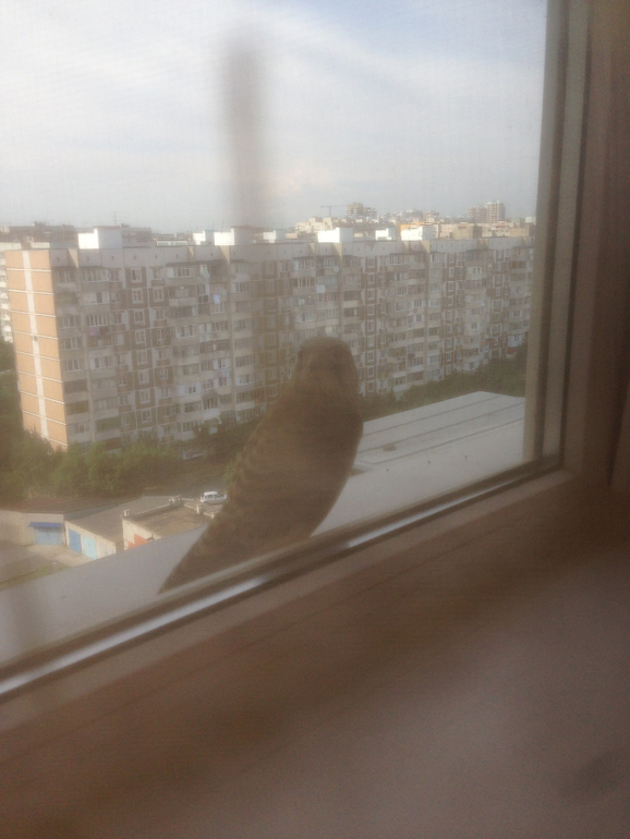 Вот так все меняется...