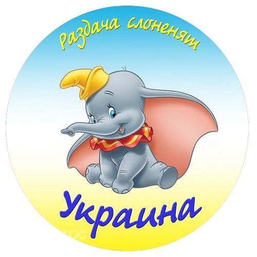 Стартовал 31 розыгрыш слоника по Украине
