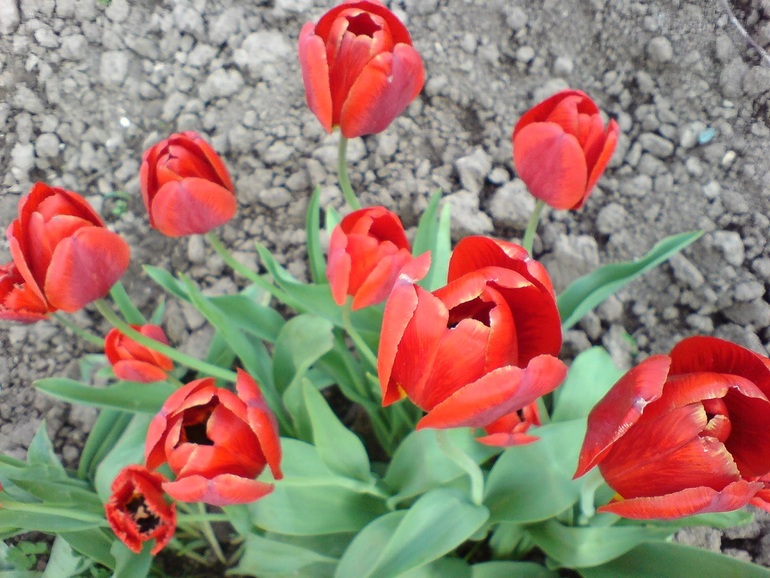 Fly-эстафета. Вторник - 8 апреля