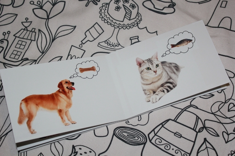 Книжка-игрушка 2 в 1