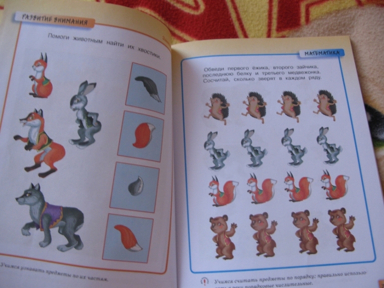 Наши развивалочки