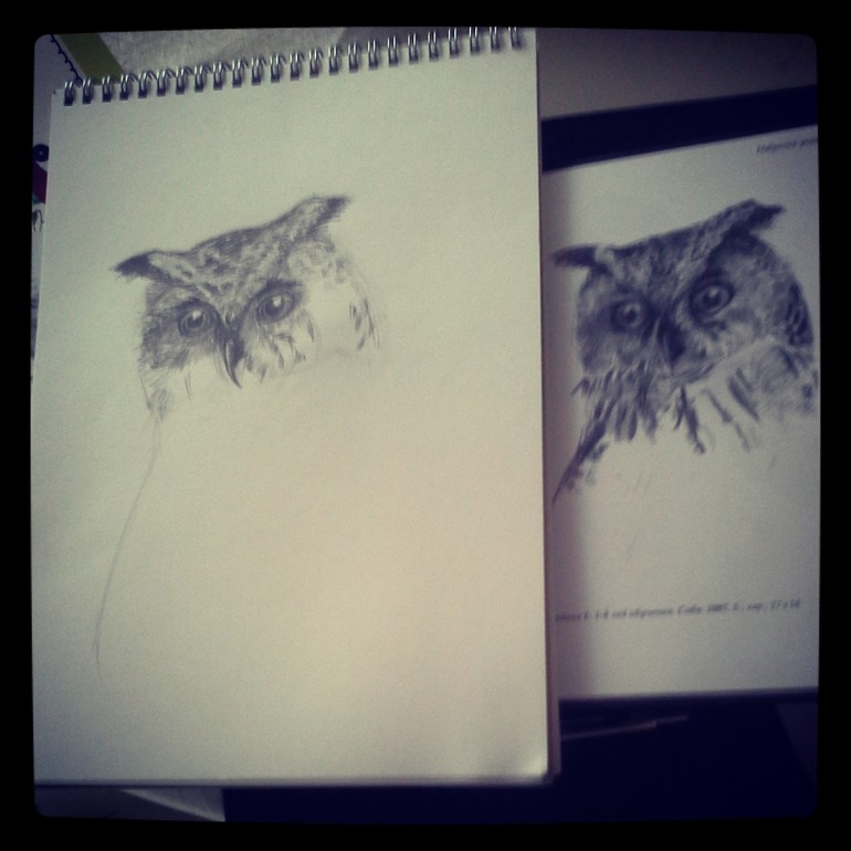 Вот мои работы