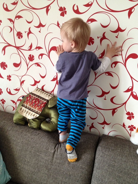 1.4.26 Краткая сводка новостей