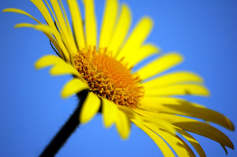 Я немного поменялась....