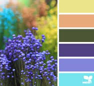 Спальня со стенами цвета циан и цвета компаньоны