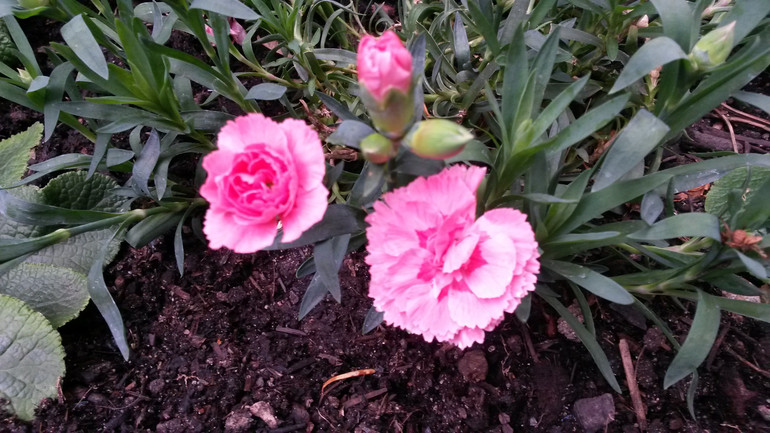 Для хорошего настроения:)