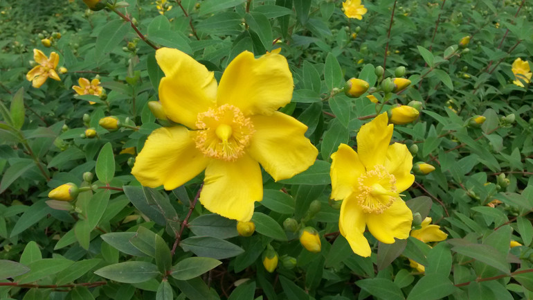 Для хорошего настроения:)