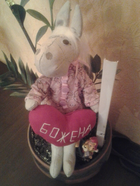 Новенькие красавчики!