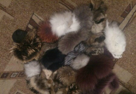 только сегодня обрезы меха отдам за 1000!!!!!