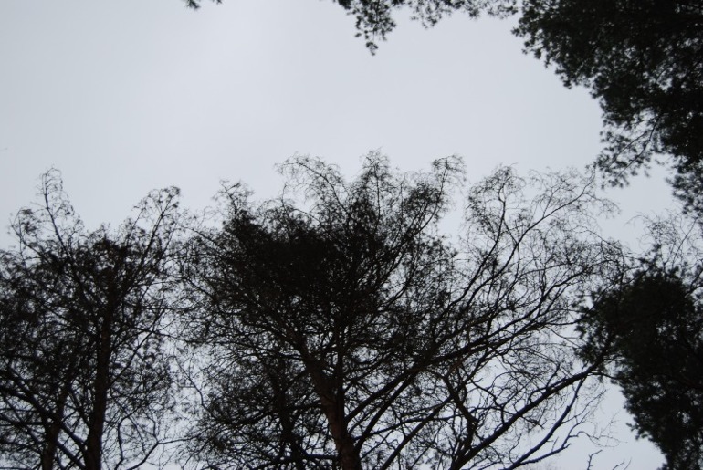 Творчество...