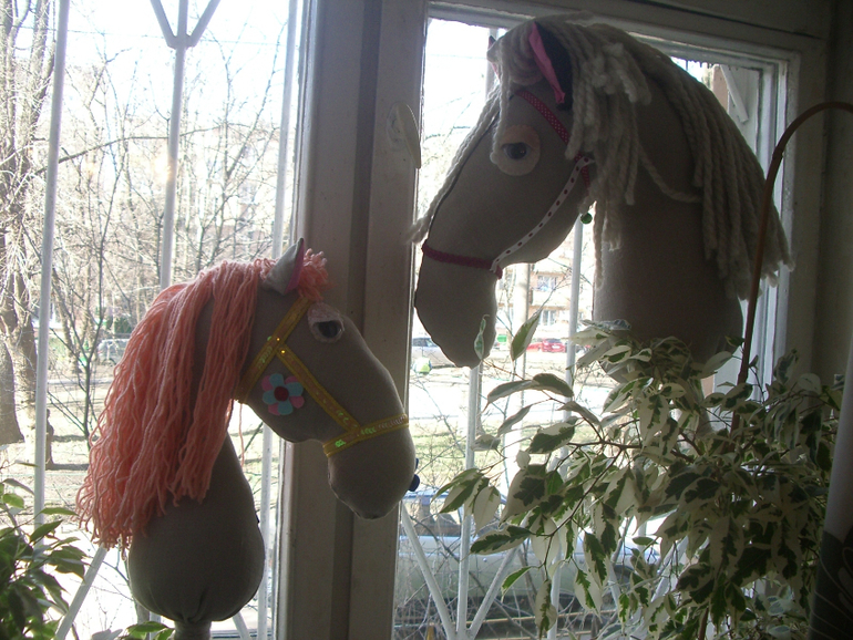 У нашего коня появилась подружка)