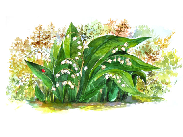 Акварель Это моя жизнь