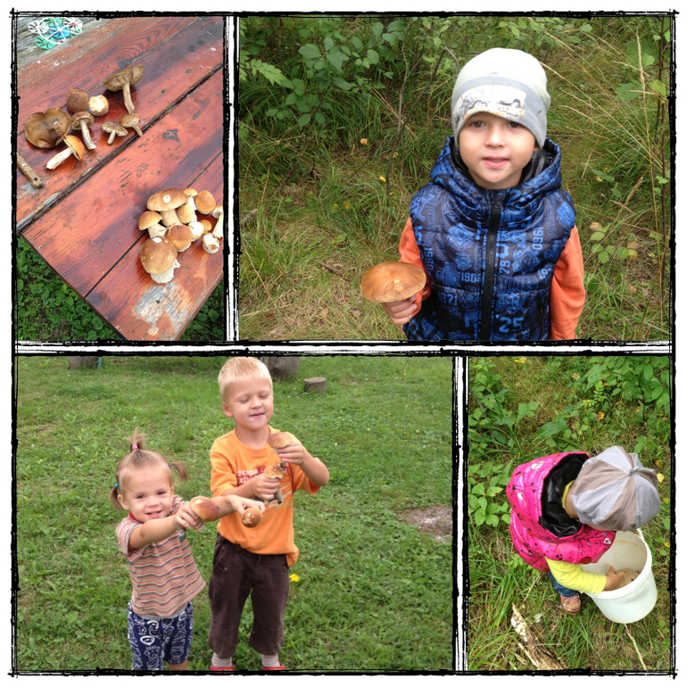 Наша дача ч.1