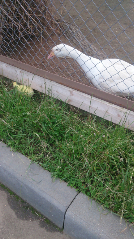 Поездка в Экзотик-парк