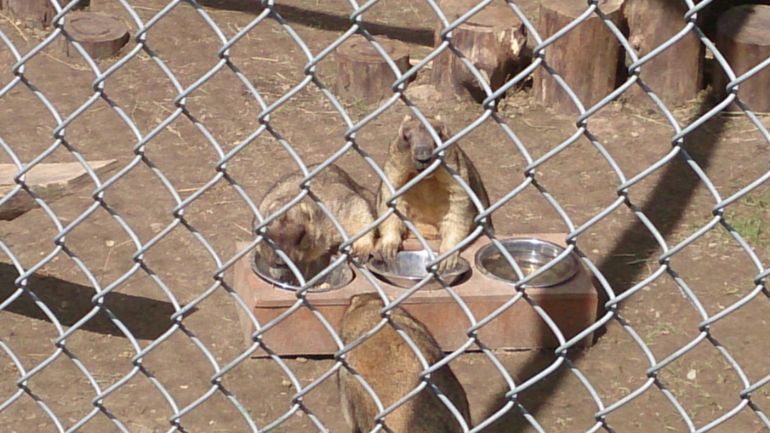Поездка в Экзотик-парк