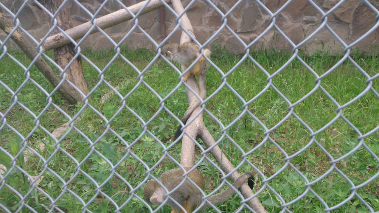 Поездка в Экзотик-парк