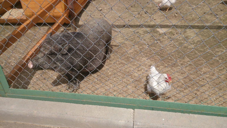 Поездка в Экзотик-парк