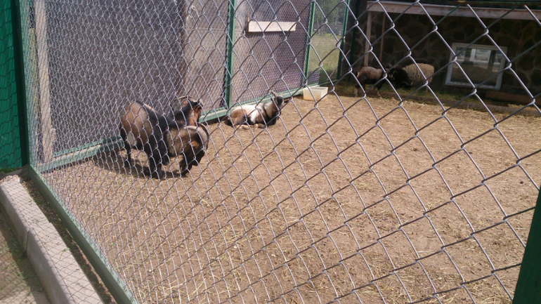 Поездка в Экзотик-парк